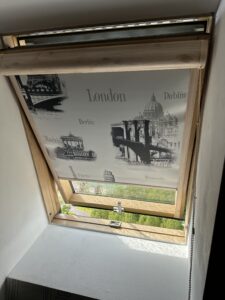 IMG_3552
